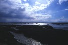 Mersea Island